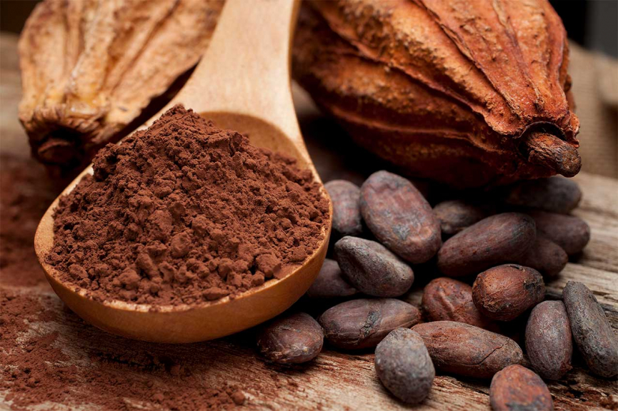 22 цікаві факти про какао