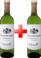 Вино GVG Chantecaille Bordeaux Sauvignon Blanc біле сухе 12% 0,75л*2 шт (набір)