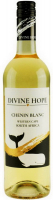 Винo Paul Sapin Divine Hope Chenin Blanc біле сухе 0,75л 
