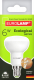 Лампа Eurolamp 6W E14 LED-R50-06144(P) х6