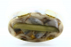 Оселедець Вомонд філе-шматочки в олії під горілочку 300г