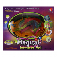 Іграшка iCoytoys Головоломка Magical intellect ball арт.937А