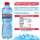 Вода мінеральна Миргородська 0.5л х12