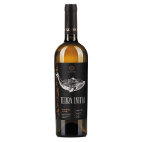 Вино Terra Rkatsiteli Qvevri Ркацителі квеврі біле сухе 13% 0.75л