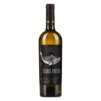 Вино Terra Initia Kisi Qvevri Кісі квеврі біле сухе 13% 0.75л 