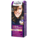 Крем-фарба для волосся Palette Інтенсивний Колір W5 №6-65 Золотистий Грильяж