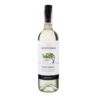 Вино Zonin Ventiterre Pinot Grigio біле н/сухе. 0,75л х3
