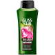 Шампунь для чутливого та схильного до пошкодження волосся Gliss Kur Bio-Tech Restore, 400 мл