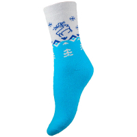Шкарпетки Рубіж-Текс жіночі махра 2М-100 р.23-25 сині