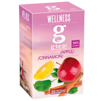 Чай G`Tea зелений Wellness 20*2г