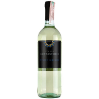 Вино Cantastorie Pinot Grigio біле сухе 12% 0,75л