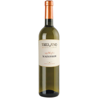 Вино TbilVino Алазанське біле напівсолодке 11% 0,75л
