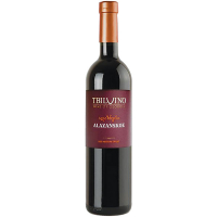 Вино TbilVino Алазанське червоне напівсолодке 12% 0,75л