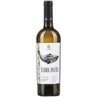 Вино Terra Initia Tsinandali Цинандалі біле сухе 13,5% 0,75л 