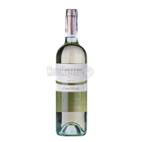 Вино Cantele Chardonnay Salento 0,75л х2