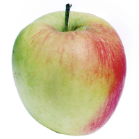 Яблуко Горець вагове /кг